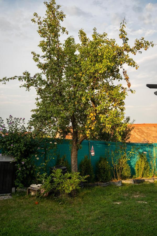Apartament Panoramic La Casa In Comuna Răşinari المظهر الخارجي الصورة
